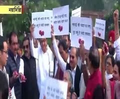  বেলাগাম পেঁয়াজের দাম: সংসদ ভবনের বাইরে কংগ্রেস সাংসদদের বিক্ষোভ