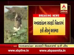 બનાસકાંઠા: વાવ તાલુકાના સરહદી વિસ્તારમાં તીડનું આક્રમણ, જુઓ વીડિયો