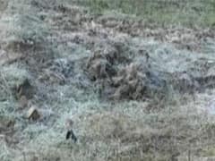 Cold wave conditions to persist over Northern States 