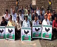  Kadaknath Issue | कडकनाथ प्रकरणी सदाभाऊ खोत, सागर खोत यांच्यावर कारवाई करा : शेतकरी | ABP Majha