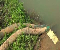 Reporter Stories: বাঁকুড়ার সিমলাপাল ব্লকের একাধিক গ্রামে সেচের জলের পাইপ ফেটে বিপত্তি, চাষ করতে গিয়ে সমস্যায় কৃষকরা