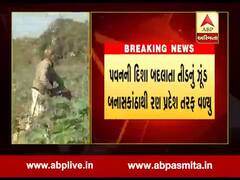 બનાસકાંઠાઃ પવનની દિશા બદલાતા તીડના ઉપદ્રવથી ખેડૂતોને રાહત, જુઓ વીડિયો