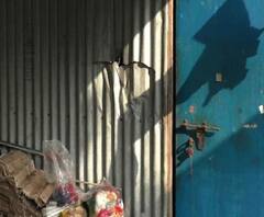 Reporter Stories: নদিয়ার ফুলিয়া মাঠপাড়ায় বিজেপি সমর্থকের বাড়িতে হামলা, অভিযোগ তৃণমূল আশ্রিত দুষ্কৃতীদের বিরুদ্ধে