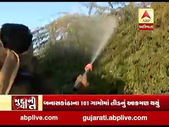 મુદ્દાની વાતઃ તીડના આતંકથી છૂટકારો મેળવવા હજુ કેટલી જોવી પડશે રાહ? જુઓ ખાસ અહેવાલ