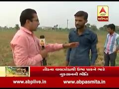 મહેસાણાના સતલાસણા તાલુકાના 10 ગામ તીડથી પ્રભાવિત, જુઓ વીડિયો