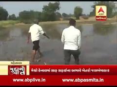 મહેસાણાઃ ઝાલોરા ગામે કેનાલ ઓવરફલો થતાં ખેડૂતોની વધી મુશ્કેલી, જુઓ વીડિયો
