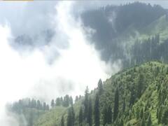 इमरान खान से शहादत का इंतकाम ! देखिए ये रिपोर्ट