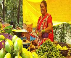 Special Report | बोलेरो चालवणारी घाटमाथ्यावरची शूर वाघीण, नशिबाला दोष देणाऱ्यांना प्रेरणा देणारी कहाणी | ABP Majha