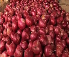 Reporter Stories: নেই পর্যাপ্ত জোগান, আবার পেঁয়াজের দাম ছুঁল দেড়শো