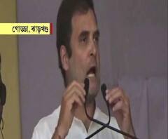 ঝাড়খণ্ডের গোড্ডায় নির্বাচনী প্রচারে গিয়ে মোদিকে আক্রমণ রাহুল গাঁধীর