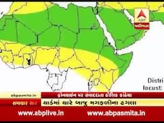 કચ્છમાં ફરી એકવાર દેખાયા તીડ, પાકિસ્તાન તરફથી નવા તીડ આવતા મુશ્કેલી, જુઓ વીડિયો