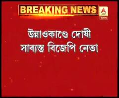 উন্নাওকাণ্ডে দোষী সাব্যস্ত প্রাক্তন বিজেপি বিধায়ক কুলদীপ সেঙ্গার