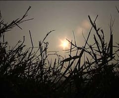 বুধবার থেকেই জাঁকিয়ে ঠান্ডা, ১২ ডিগ্রিতে নামবে পারদ, পূর্বাভাস আবহাওয়া দফতরের