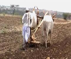  Devendra Fadnavis | सातबारा कोरा होणार का? की पुन्हा जैसे थे? | ABP Majha 