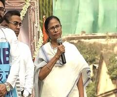 একাই ক্যাবের বিরোধিতা শুরু করেছিলাম, এখন দিল্লি, বিহার, মধ্যপ্রদেশ, পঞ্জাব, ছত্তীসগঢ়, কেরল একই কথা বলছে, বললেন মমতা