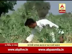 ખેડૂતોના દેવા માફીને લઇને કોંગ્રેસે ભાજપ સરકાર પર કર્યા આકાર પ્રહારો, જુઓ વીડિયો