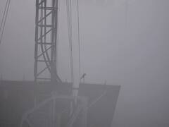 Dense fog reduces visibility in Delhi-NCR