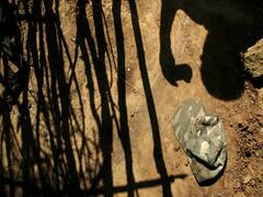 ITBP jawan opens fire, kills 6, injures 3