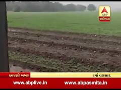 જૂનાગઢ જિલ્લામાં મંગળવારે થયો કમોસમી વરસાદ, ખેડૂતોની મુશ્કેલીમાં વધારો, જુઓ વીડિયો