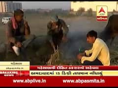 મહેસાણામાં ડબલ ઋતુ, ફૂલ ગુલાબી ઠંડીને લઇને શું કહી રહ્યાં છે લોકો, જુઓ વીડિયો