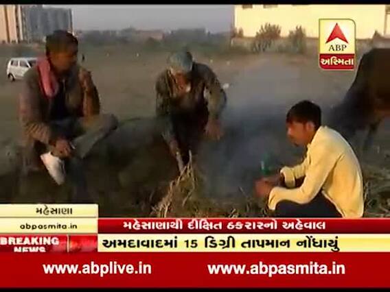 મહેસાણામાં ડબલ ઋતુ, ફૂલ ગુલાબી ઠંડીને લઇને શું કહી રહ્યાં છે લોકો, જુઓ વીડિયો