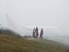 Cold Wave: Dense fog freezes Delhi; Train,flight services hit