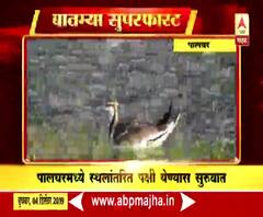 National News | देशभरातील बातम्यांचा सुपरफास्ट आढावा | बातम्या सुपरफास्ट | ABP Majha