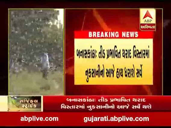 બનાસકાંઠાના તીડ પ્રભાવિત વિસ્તારોનો આજે હાથ ધરાશે સર્વે, જુઓ વીડિયો