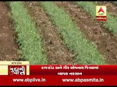 કમોસમી વરસાદથી રાજકોટ અને ગીર સોમનાથ જિલ્લામાં વ્યાપક નુકસાન, જુઓ વીડિયો