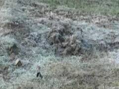 दिल्ली में श्रीनगर जैसी ठंडी, तोड़े सारे रिकॉर्ड