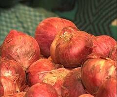 Reporter Stories: এখনও বেলাগাম দাম, আতঙ্কে পেঁয়াজ আনছেনই না ব্যবসায়ীরা, সঙ্কট বৃদ্ধির আশঙ্কা