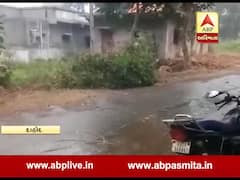 આગામી 4 ડિસેમ્બરે ગુજરાતમાં ક્યાં ક્યાં પડી શકે છે વરસાદ? જુઓ વીડિયો