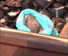 বাম ধর্মঘট: হৃদয়পুর স্টেশনে ট্রেনের নীচে মিলল ৩টি বোমা, করা হল নিষ্ক্রিয়