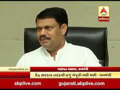 વનમંત્રીનું નિવેદન, 'ગુજરાતમાં જ નહીં, દેશભરમાં છે દીપડાની સમસ્યા', જુઓ વીડિયો