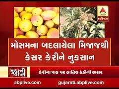 મુદ્દાની વાતઃ મોસમના બદલાયેલા મિજાજથી કેસર કરીને નુકસાન, જુઓ અહેવાલ