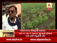 પાક વિમા મુદ્દે ભાવનગરના મોણપુર ગામના ખેડૂતો શું કહી રહ્યાં છે ? જુઓ વીડિયો 