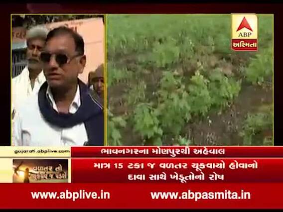 પાક વિમા મુદ્દે ભાવનગરના મોણપુર ગામના ખેડૂતો શું કહી રહ્યાં છે ? જુઓ વીડિયો 