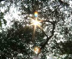 উত্তুরে হাওয়ার বাধা কাটতেই রাজ্য জুড়ে জাঁকিয়ে শীত, মঙ্গল থেকে বৃহস্পতিবার বৃষ্টির পূর্বাভাস