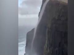 फटाफट देखिए दुनियाभर की वायरल खबरें