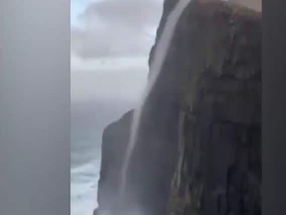 फटाफट देखिए दुनियाभर की वायरल खबरें