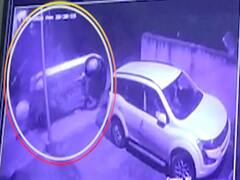 Watch top viral news of the world