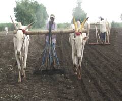 राज्यातील शेतकऱ्यांना दिलासा, कृषी कर्जमाफीचा लाभ मिळेपर्यंत व्याज सरकार भरणार | ABP Majha 