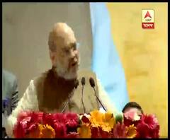 দিল্লির নির্বাচনী প্রচারে ফের একবার শাহিনবাগের আন্দোলনকে আক্রমণ অমিত শাহর, উদ্দেশ্য ধর্মীয় মেরুকরণ, দাবি বিরোধীদের