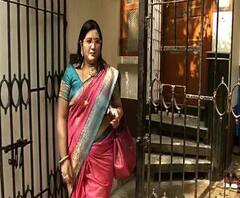 রত্না থাকলে তৃণমূল ফিরবেন না শোভন, পার্থর সঙ্গে সাক্ষাতের পর বৈশাখী