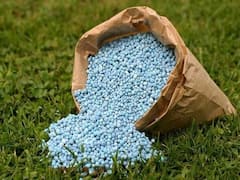 મહેસાણા જિલ્લામાં યુરિયા ખાતરની અછત, જુઓ વીડિયો