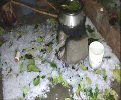 Nagpur | विदर्भामध्ये अनेक जिल्ह्यात तुफान गारपीट, लोकांची धावपळ, पिकांचं नुकसान | ABP Majha