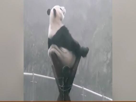 बर्फबारी में खूबसूरत नजारों से घिरा चीन, दीदार करने पहुंच रहे पर्यटक