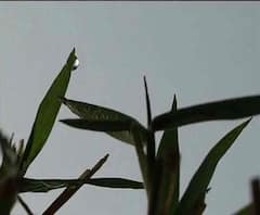 একধাক্কায় ৩ ডিগ্রি নামল পারদ, রাজ্যে ফের জাঁকিয়ে শীত