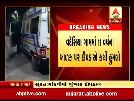 સુરતના માંડવીમાં ખુંખાર દીપડાનો આતંક, વદેસિયામાં 11 વર્ષના બાળક પર કર્યો હુમલો, જુઓ વીડિયો 