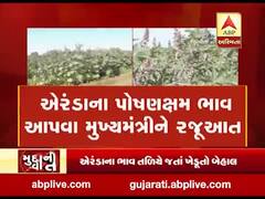 મુદ્દાની વાતઃ એરંડાના ભાવ તળિયે જતાં ખેડૂતો બેહાલ, જુઓ અહેવાલ